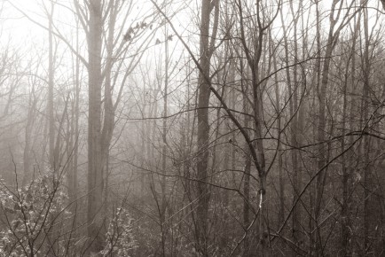 IMG_0500-Edit